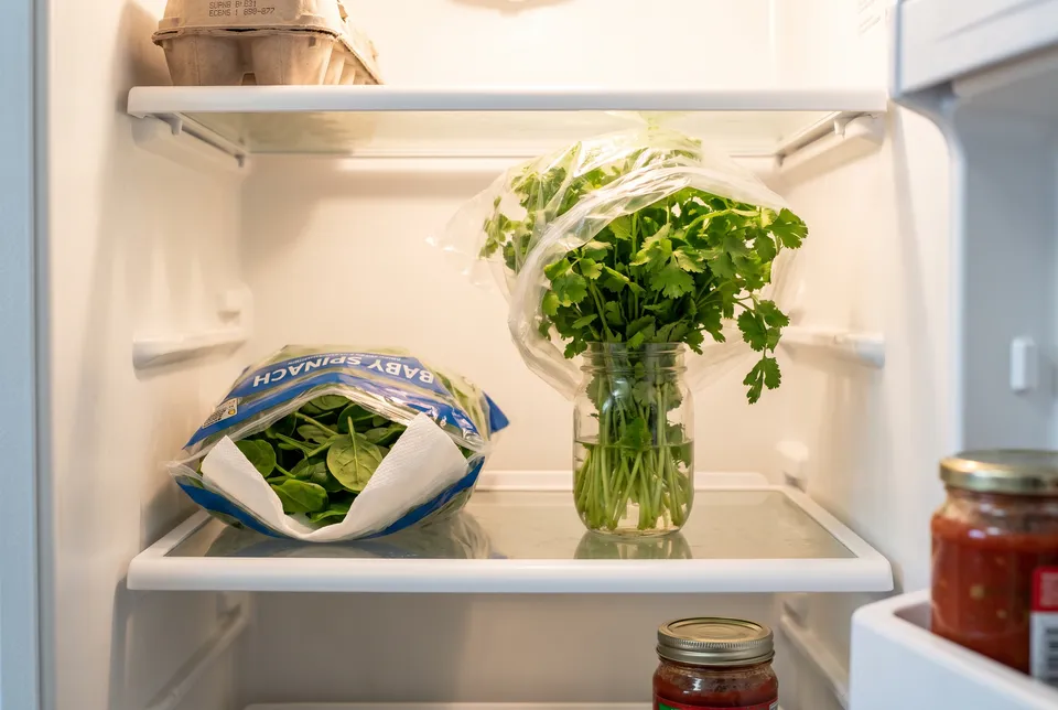 Inside an open refrigerator: a bunch of cilantro standing in a glass jar of water with a loose clear bag over the leaves, beside an opened bag of baby spinach with a paper towel tucked inside.