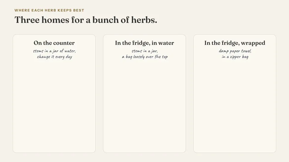 Nine watercolor herbs drop one by one into three panels: basil on the counter in a jar of water; parsley, cilantro, dill and mint in the fridge in a jar of water with a bag over the top; rosemary, thyme, sage and oregano in the fridge wrapped in a damp paper towel in a zipper bag.
