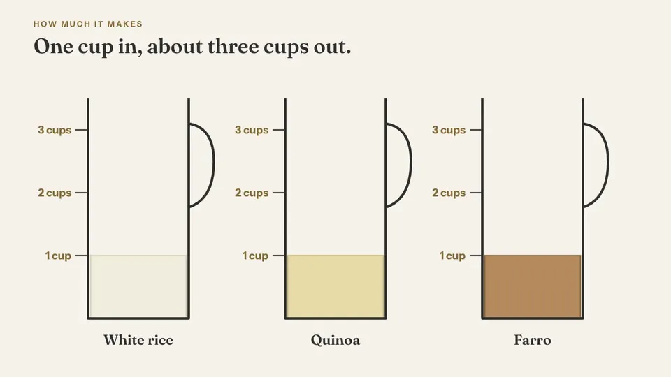 Three hand-drawn measuring jugs each start with one cup of dry grain, then fill as it cooks: white rice to 3 cups, quinoa to 2¾ cups, and farro to about 3 cups.